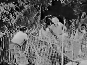 Jungle Menace--leopard netting